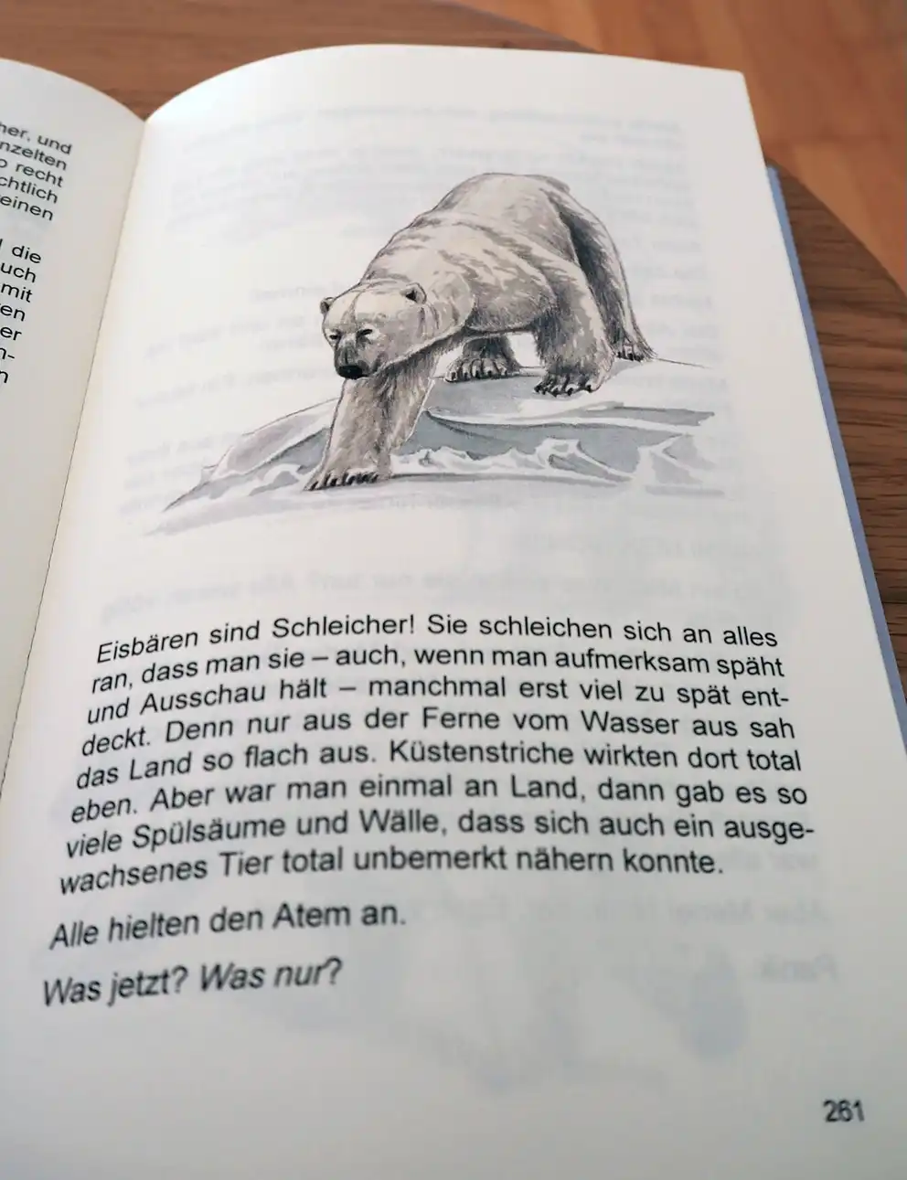 Seite aus dem Buch